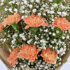 Lovely Orange Carnations Bouquet