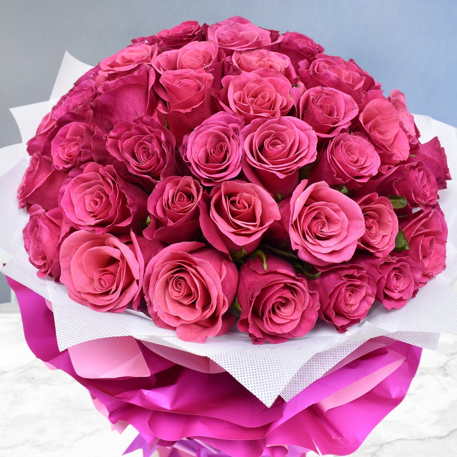 Majestic 50 Dark Pink Roses