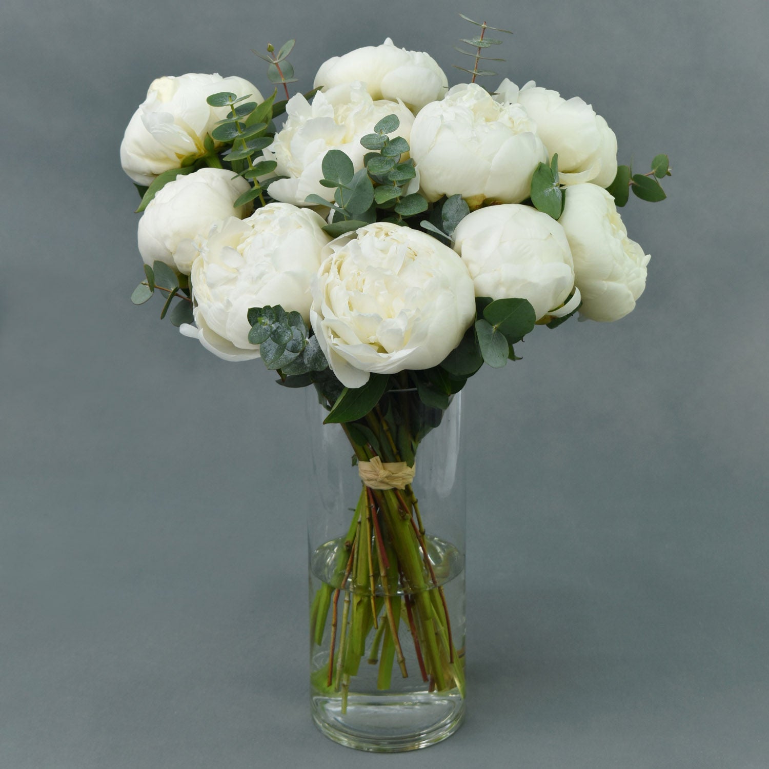 Perfect White Peonies