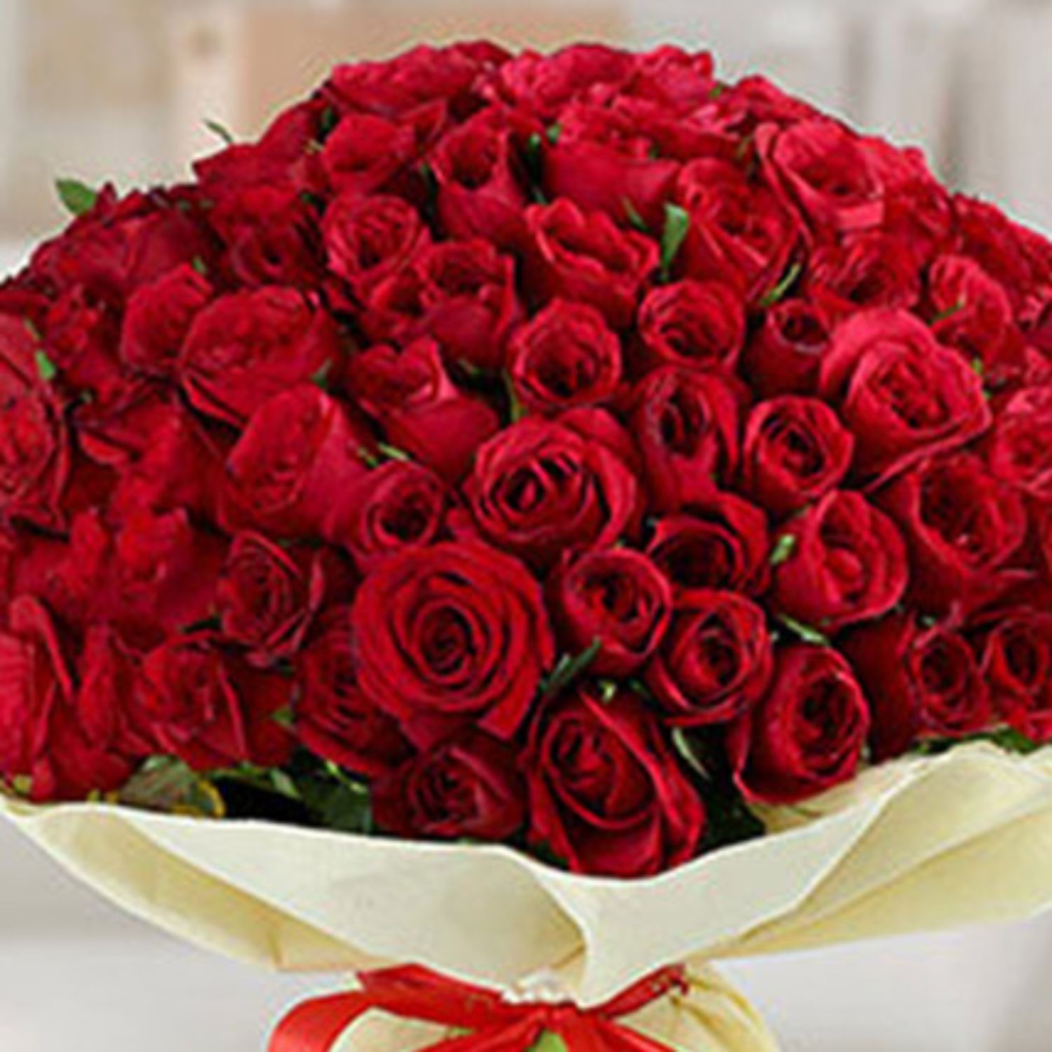 باقة 150 وردة حمراء جوري فاخر في غلاف بيج جميل