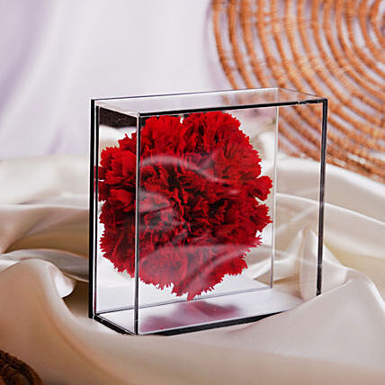 Preserved Carnation in Mirror Box