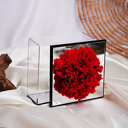 Preserved Carnation in Mirror Box