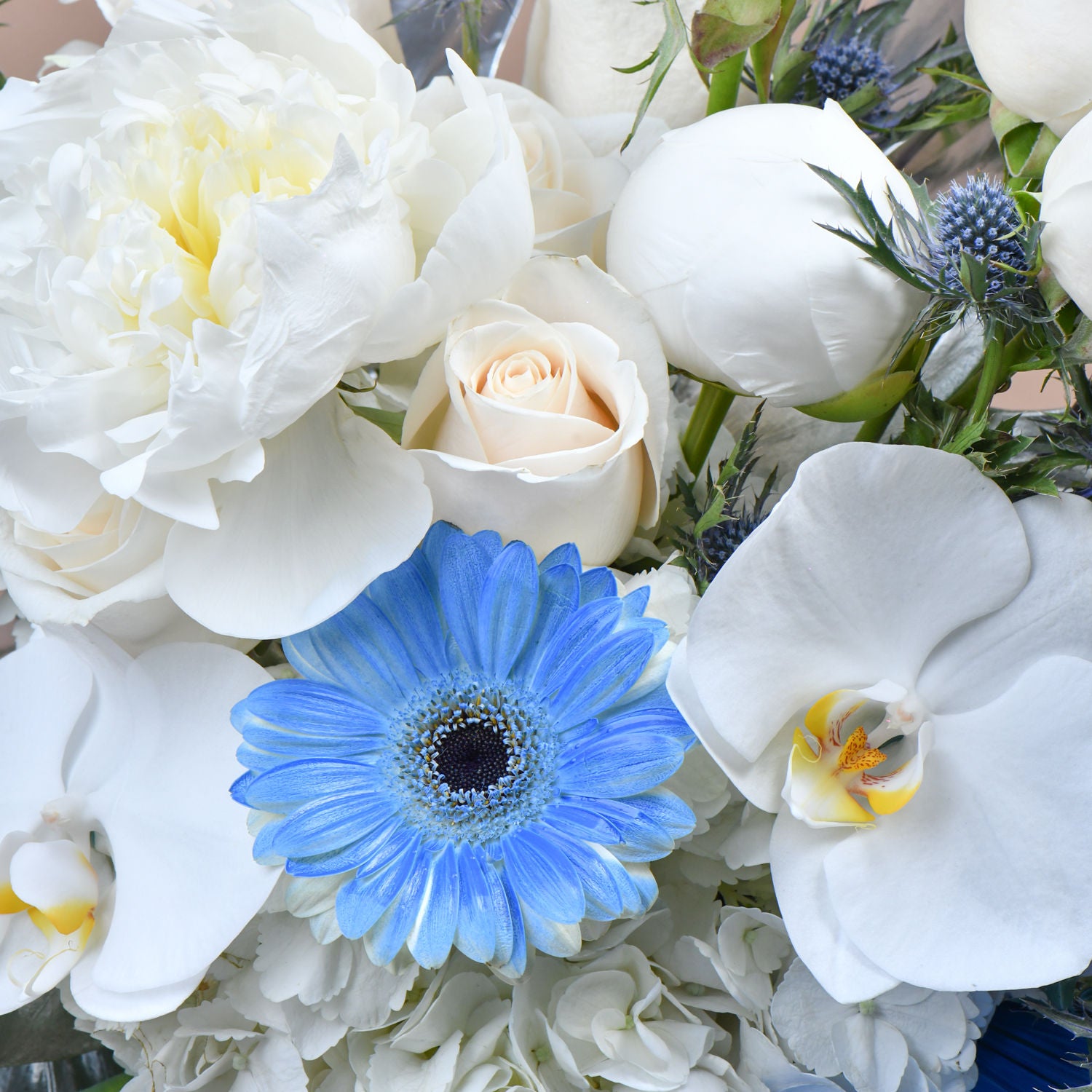 Pretty Roses & Gerberas