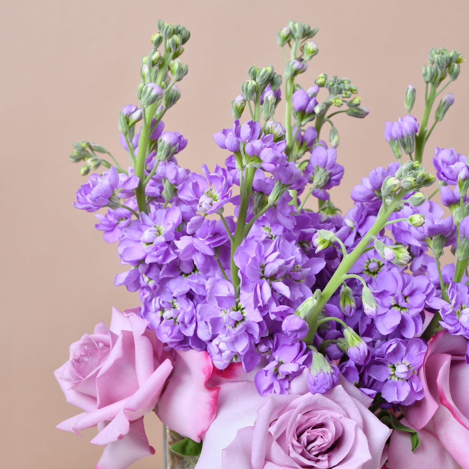 Purple Blossom Harmony