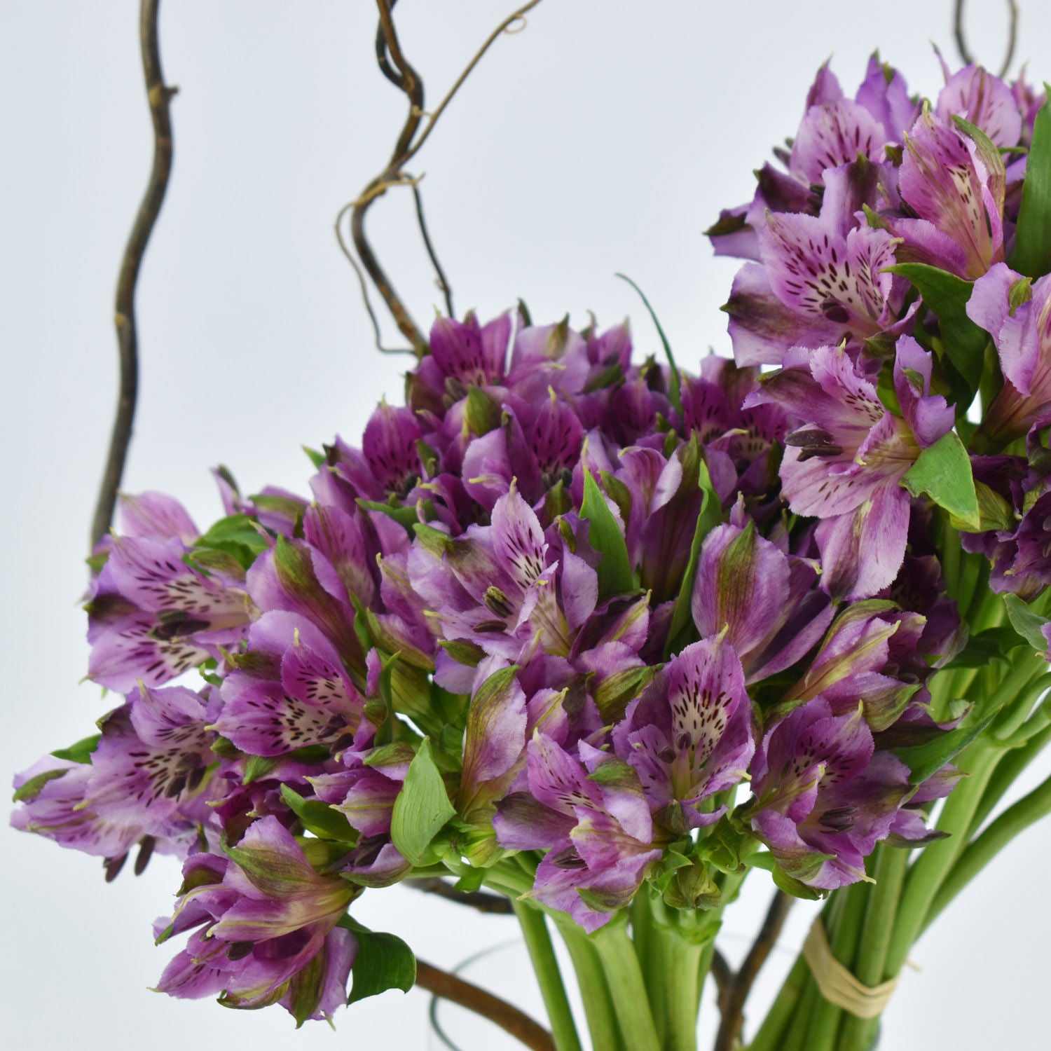 Purple Peruvian Lilies arrangement