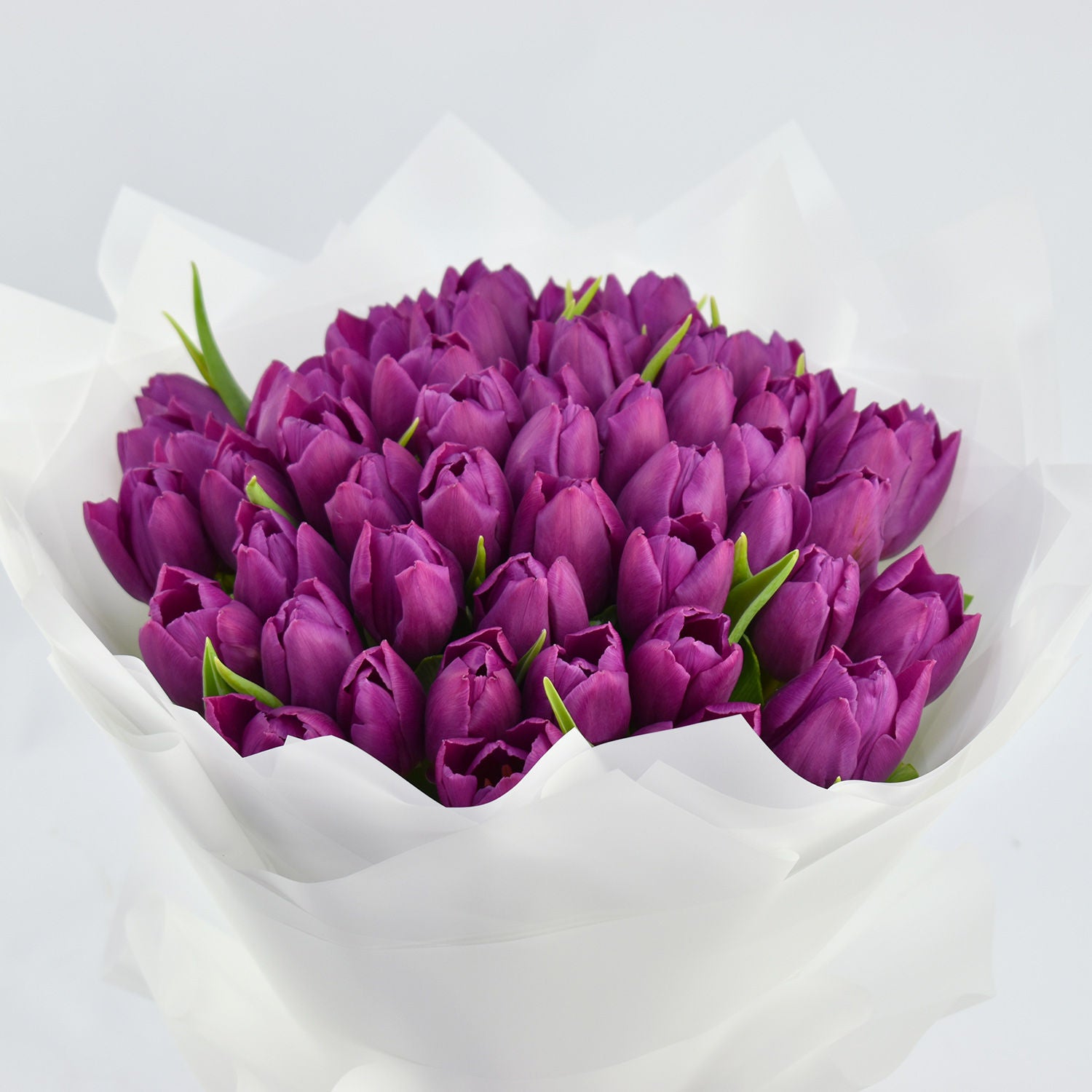 Purple Tulip Grand Bouquet