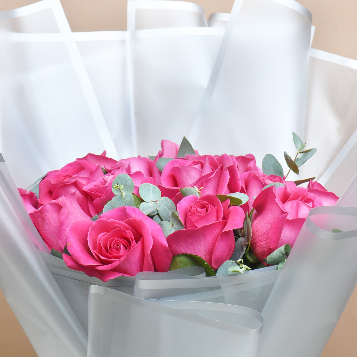 Ravishing Bouquet of 20 Pink Roses