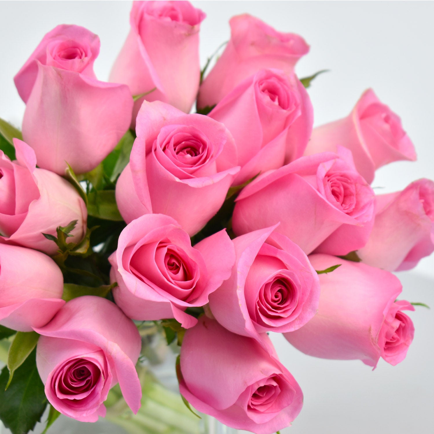 Roses and Pretty Tulips in Vase