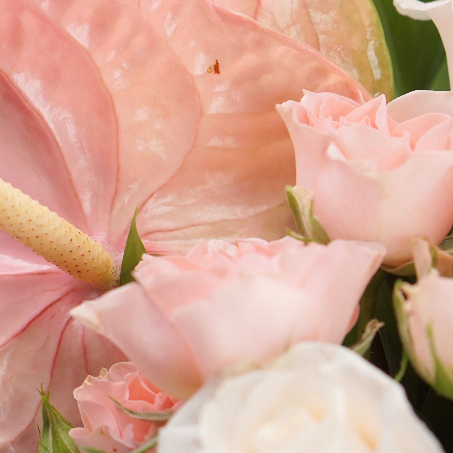 Soothing Mixed Flowers Bouquet