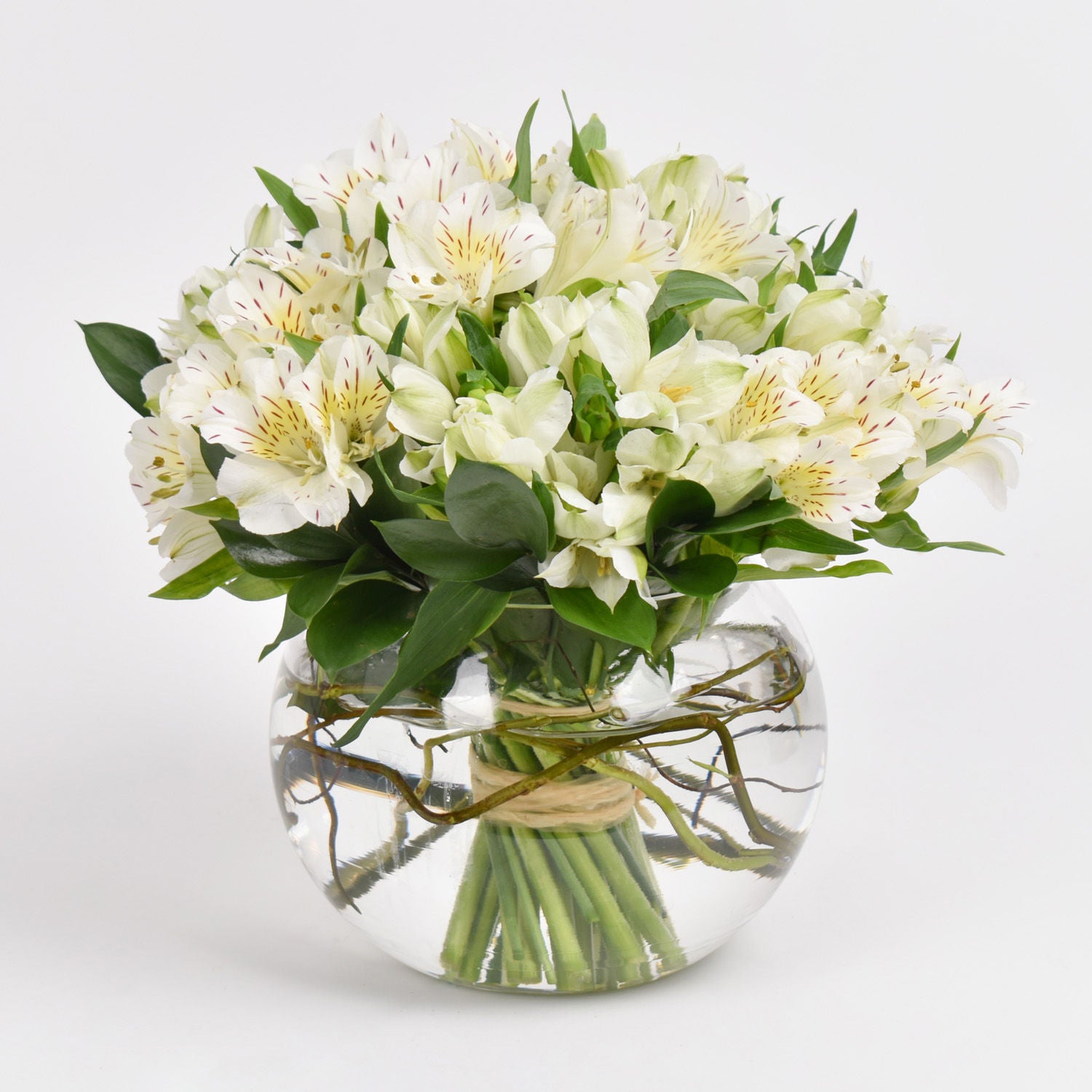 White Peruvian Lily Arrangement