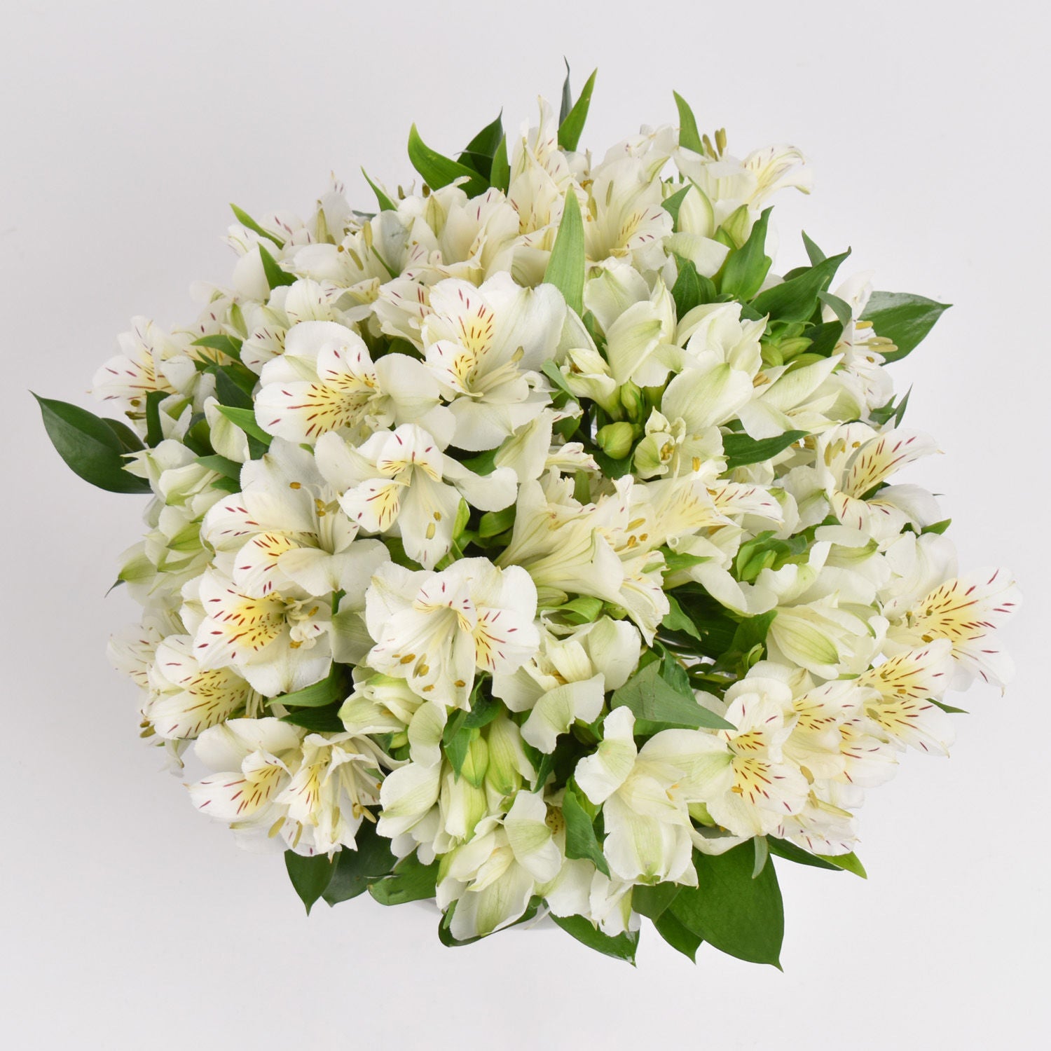 White Peruvian Lily Arrangement