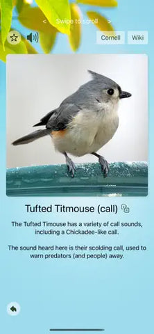 Screen shot of the Chirp! app from a smart phone.