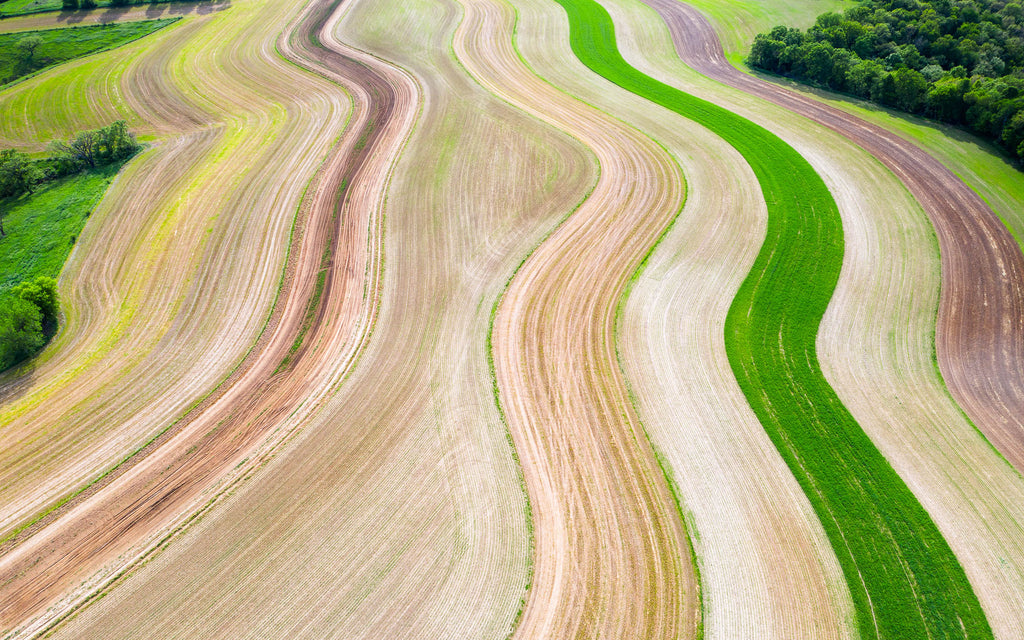 Contour cultivation in Wisconsin