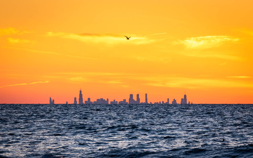 View of downtown Chicago from Indiana Dunes State Park