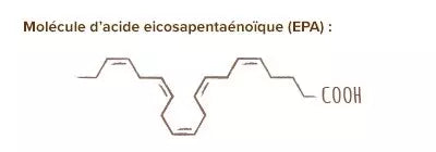 acide eicosapentaénoïque (EPA)