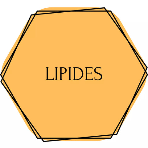 lipides