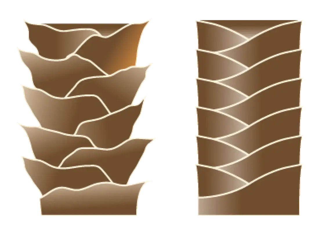 HairFollicle_BeforeAfter-1