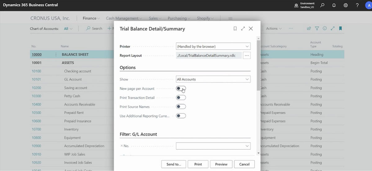 Business Central - trial balance