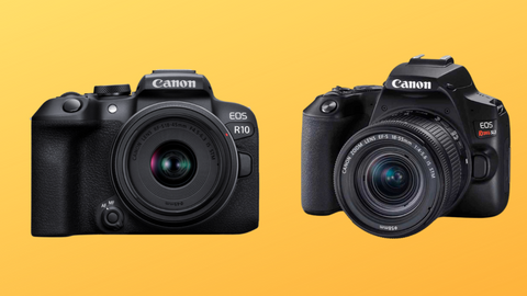 ☘¿Qué cámara de fotos comprar? ¿Réflex, Mirrorless o Compacta