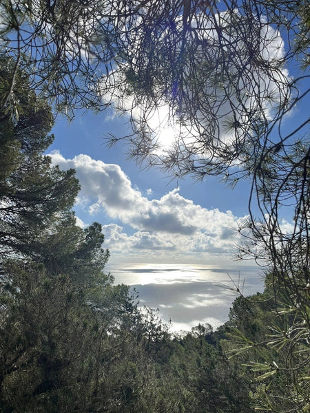 ibiza cala llonga es castellar sol d en serra