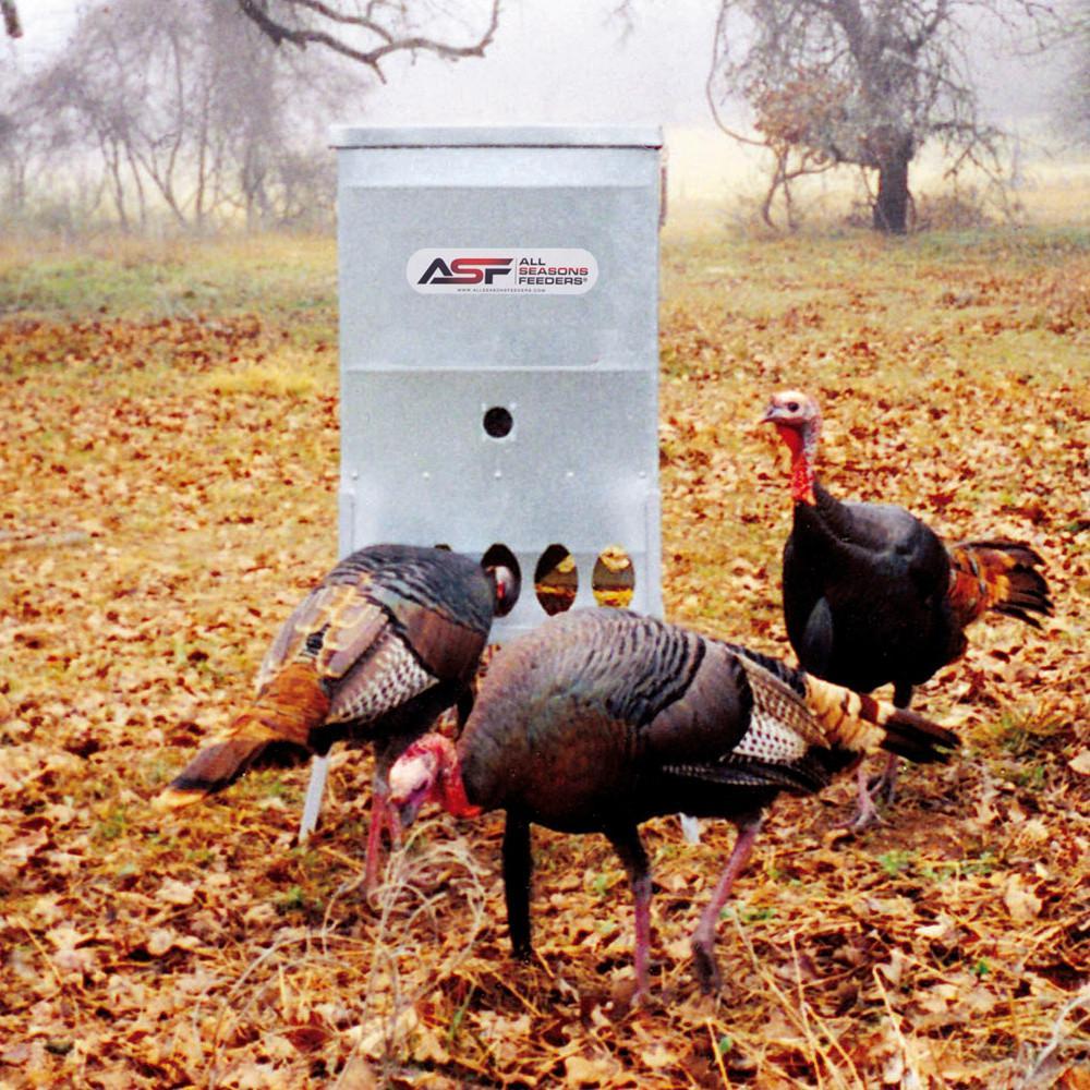 200lb Turkey Feeder Wild Bird Feeder Turkey Feeding Plans All