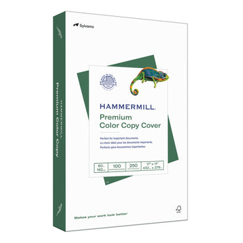 Hammermill Paper in Office Supplies 