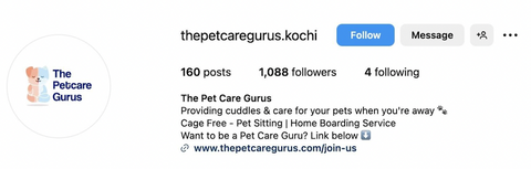 A screenshot of a nano influencer’s Instagram profile from the pet care industry.