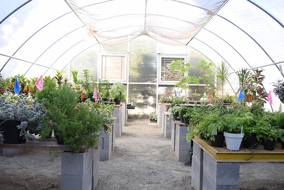 Floral Greenhouse