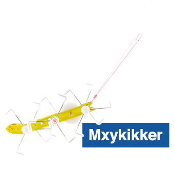 Kikkerland wind up critter mxykikker