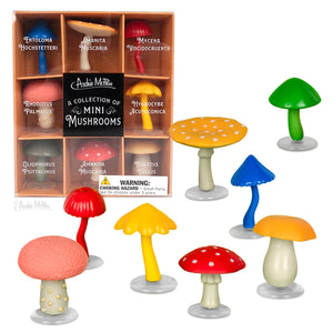 A Collection of Mini Mushrooms - Little Red Hen