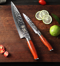YARENH 2 Pcs Chef Knife Set - 73 Layers Damascus Steel Kitchen Tools  - Dalbergia Wooden Handle - Sharp Utility Knives
