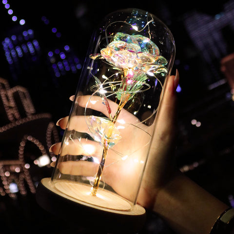 femme rose dome verre leds nuit lumière