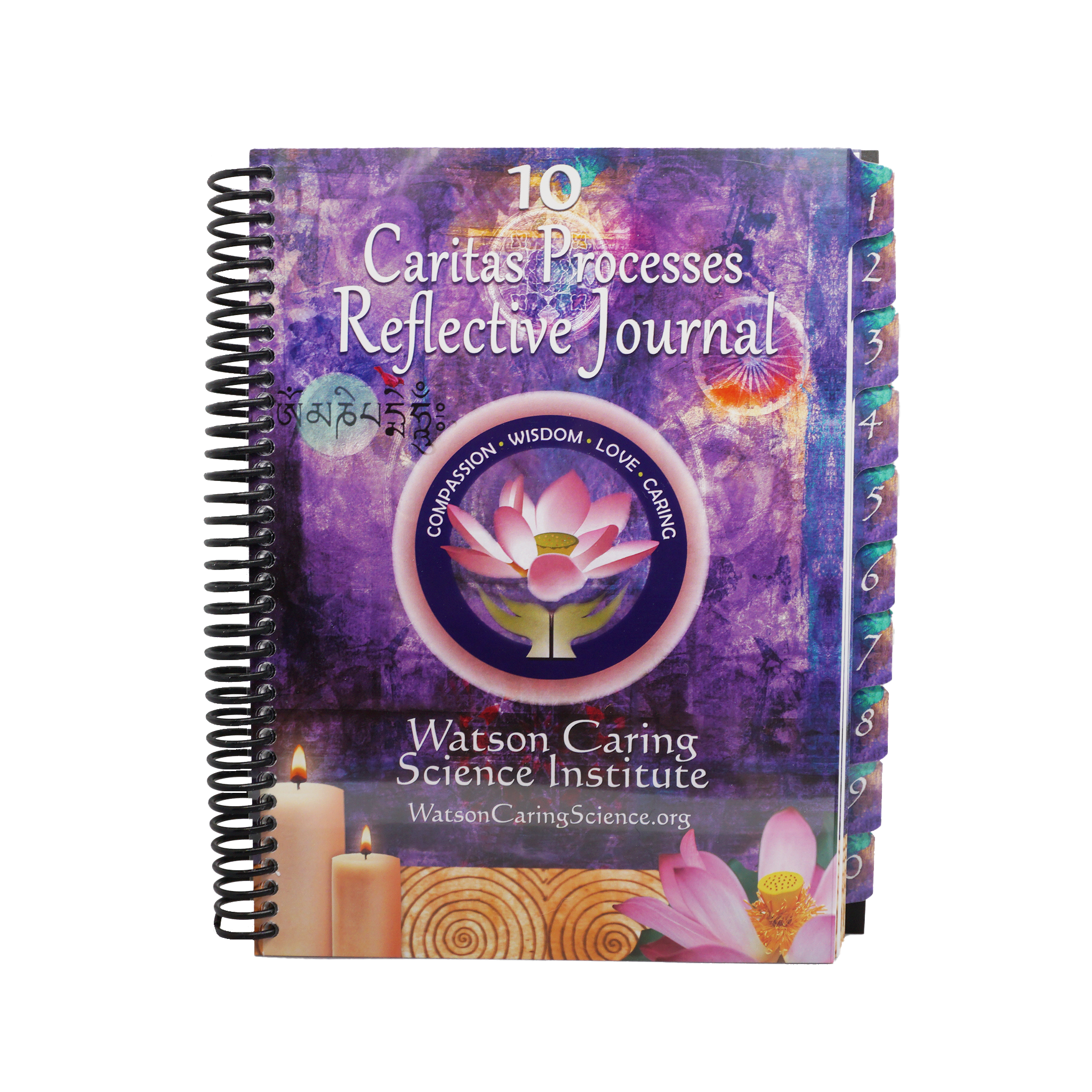 10 Caritas Processes® Reflective Journal