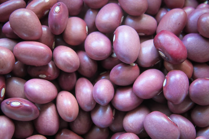 Rancho Gordo Dried Heirloom Beans