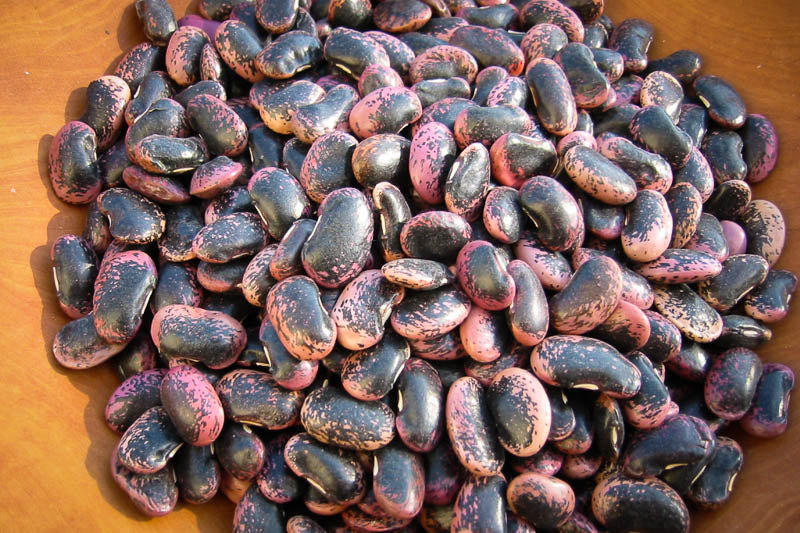 Rancho Gordo Dried Heirloom Scarlet Runner Beans