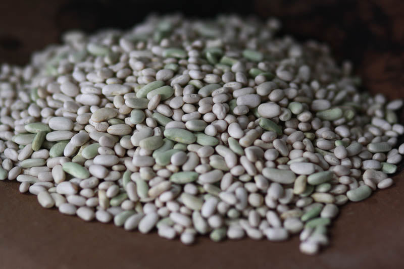Rancho Gordo Dried Heirloom Flageolet Beans
