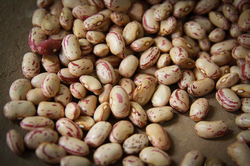 Rancho Gordo Dried Heirloom Cranberry Beans