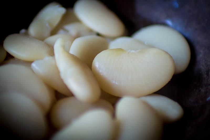 Large White Lima Bean – Rancho Gordo