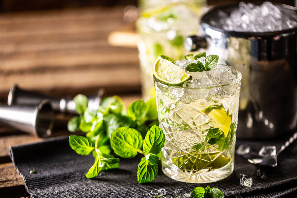 Virgin Mojito Mocktail