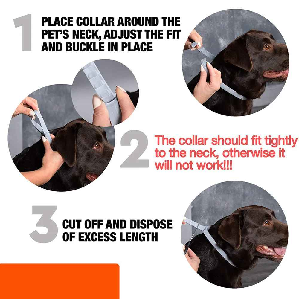Collier anti puce chien facile Ă installer
