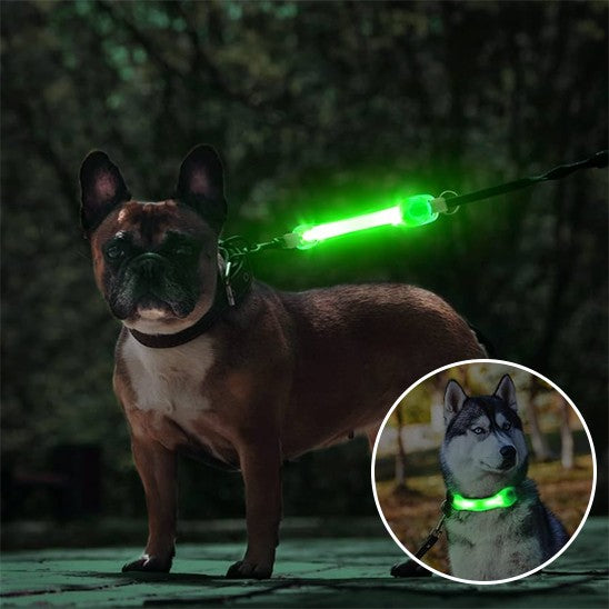 Collier-lumineux-chien-sécuritaire