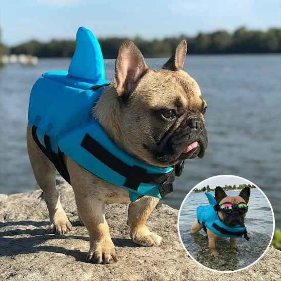 Gilet de sauvatage chiens sécuritaire