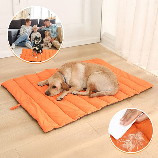 Tapis chien facile à nettoyer