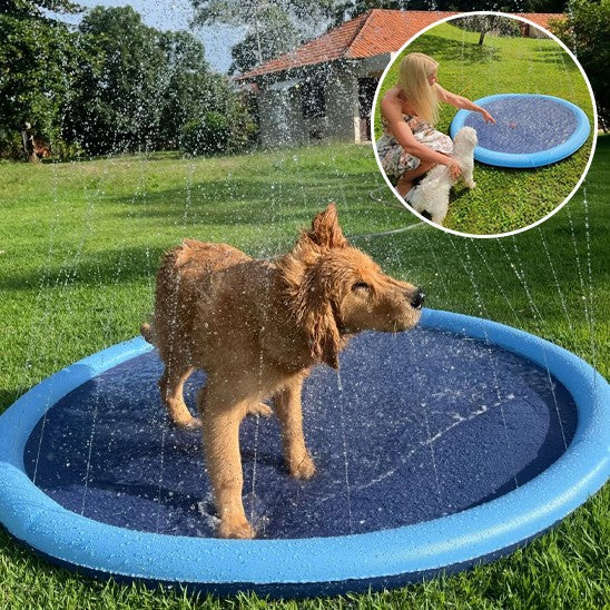 piscine pour chien durable