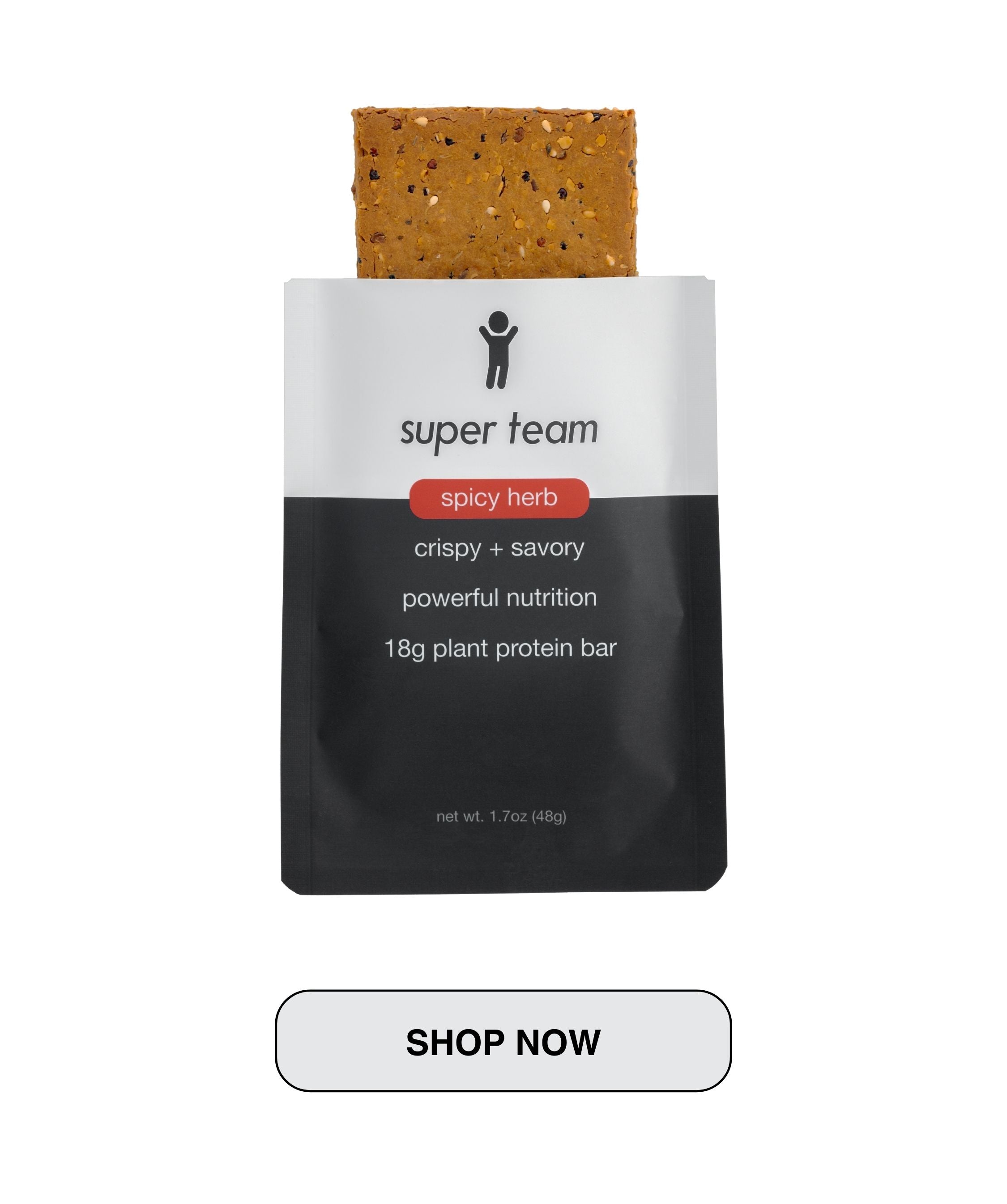 everything bagel | savory 18g plant protein bars - Super Team