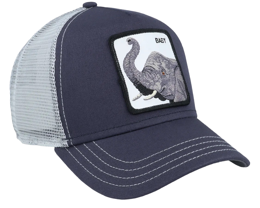 gorras goorin bros elephant