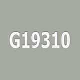 G19310