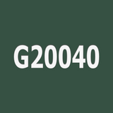 G20040
