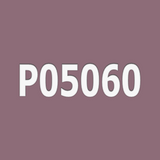 P05060