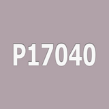 P17040